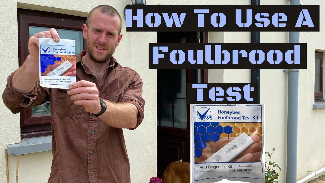How To Use Vita Foulbrood Test Kit for American And European Foulbrood ( AFB & EFB )