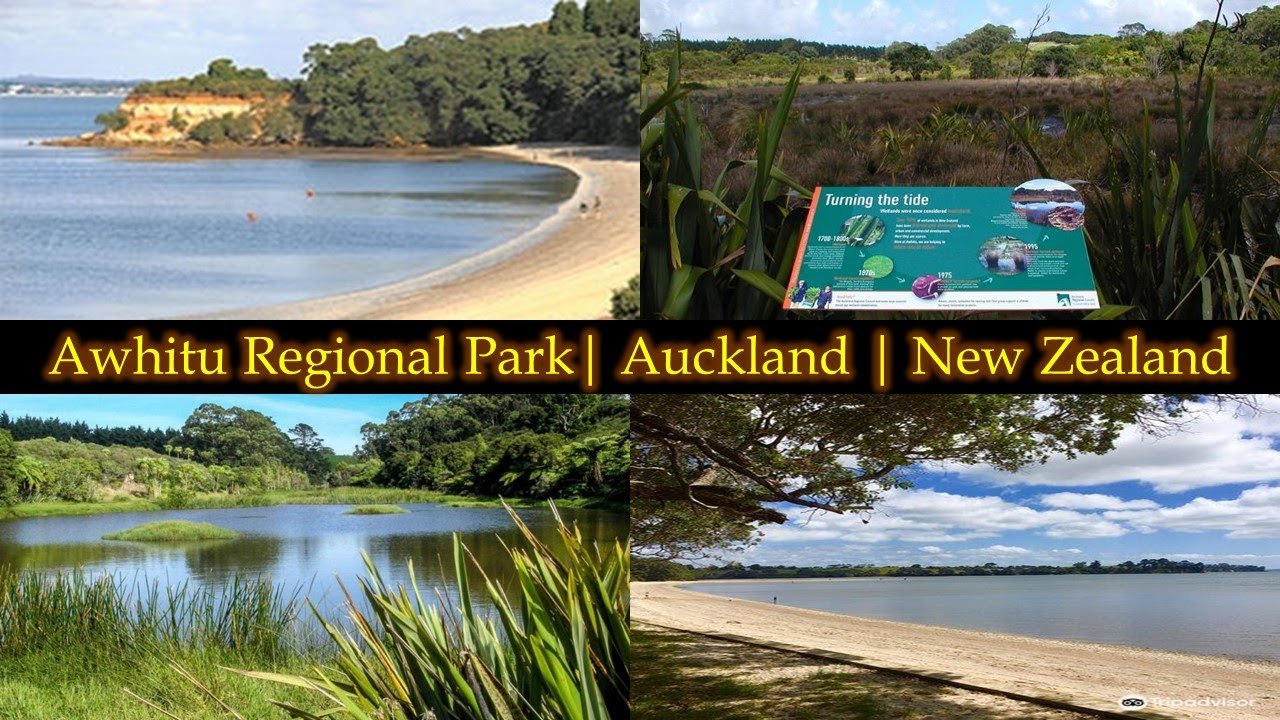 Awhitu Regional Park | Auckland | New Zealand #park #aucklandcity #newzealand #nature #naturelovers