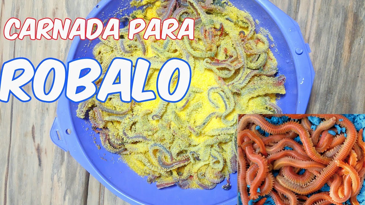 carnada para robalo patagonico