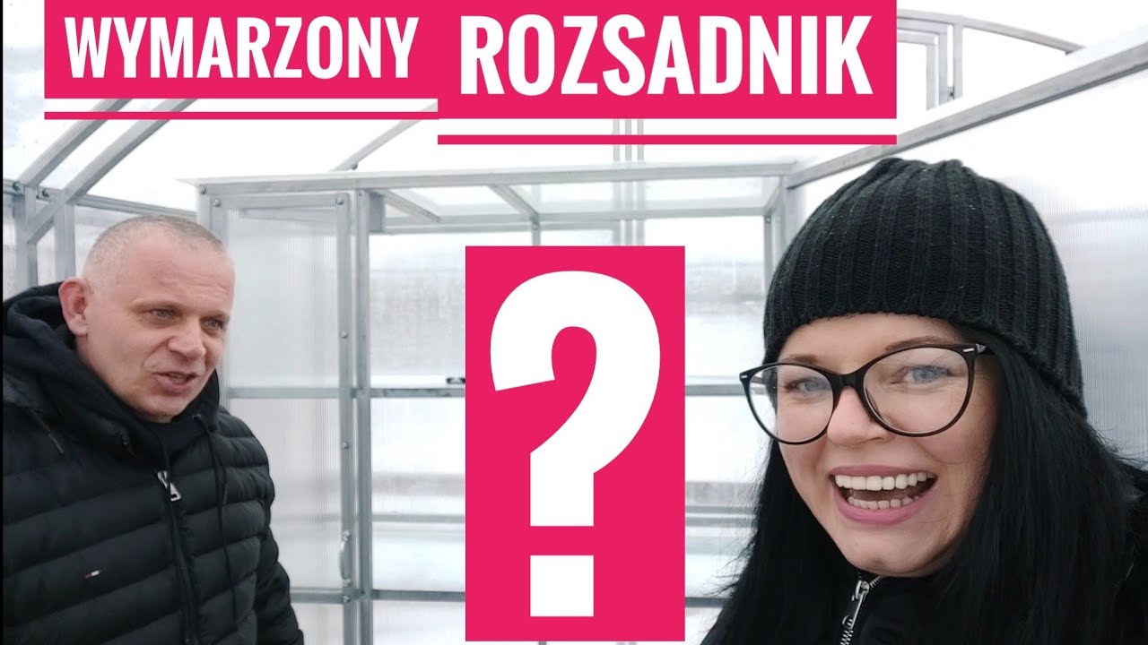 Rozsadnik w szklarni z poliwęglanu. Okna w szklarni z poliwęglanu. Rozsady warzyw | Kasia.in