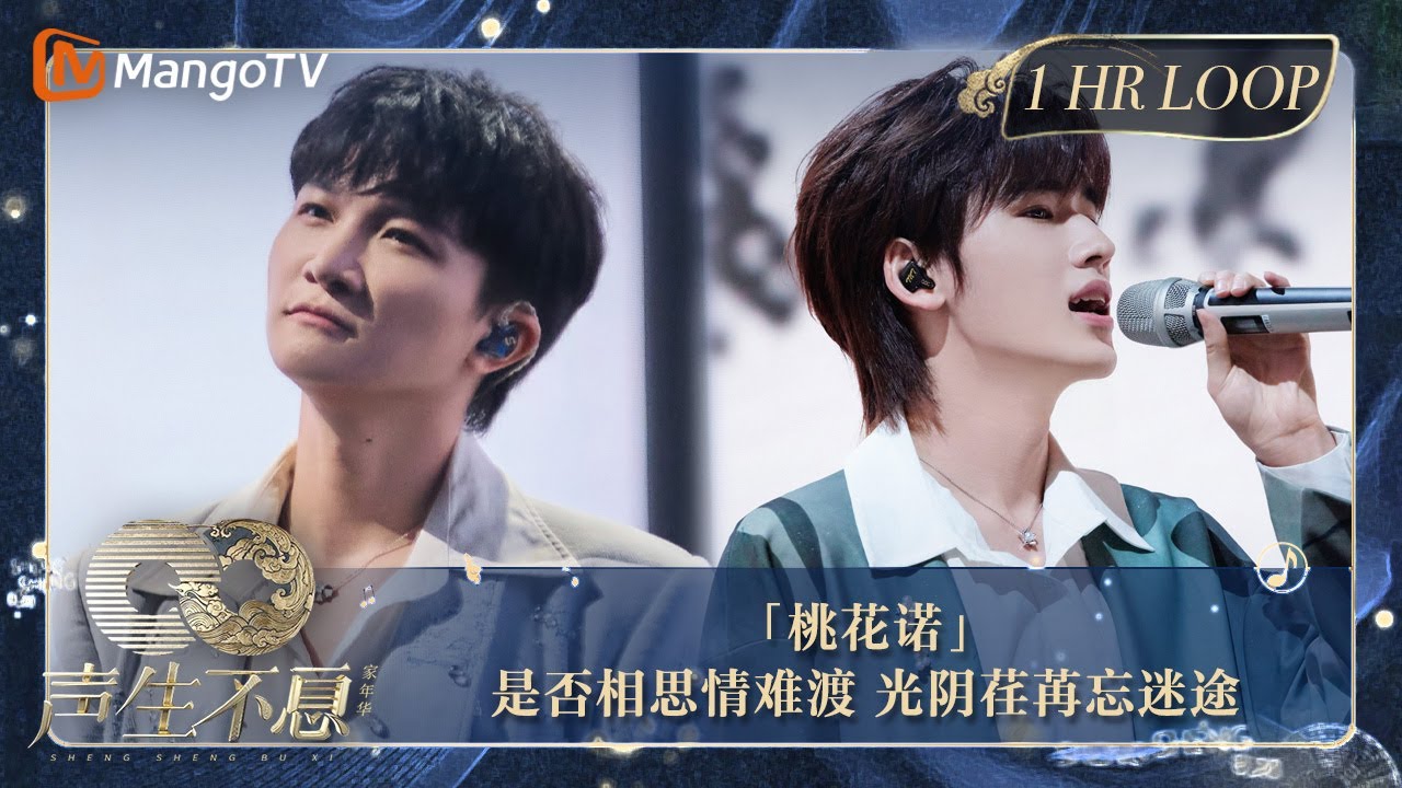 【声生不息·华音循环】｜ #周深 #宋亚轩《#桃花诺》周深绝美吟唱出来的一瞬间，谁的天灵盖被唱爽了｜Enjoy Your 1hr Loop｜#声生不息家年华｜MangoTV