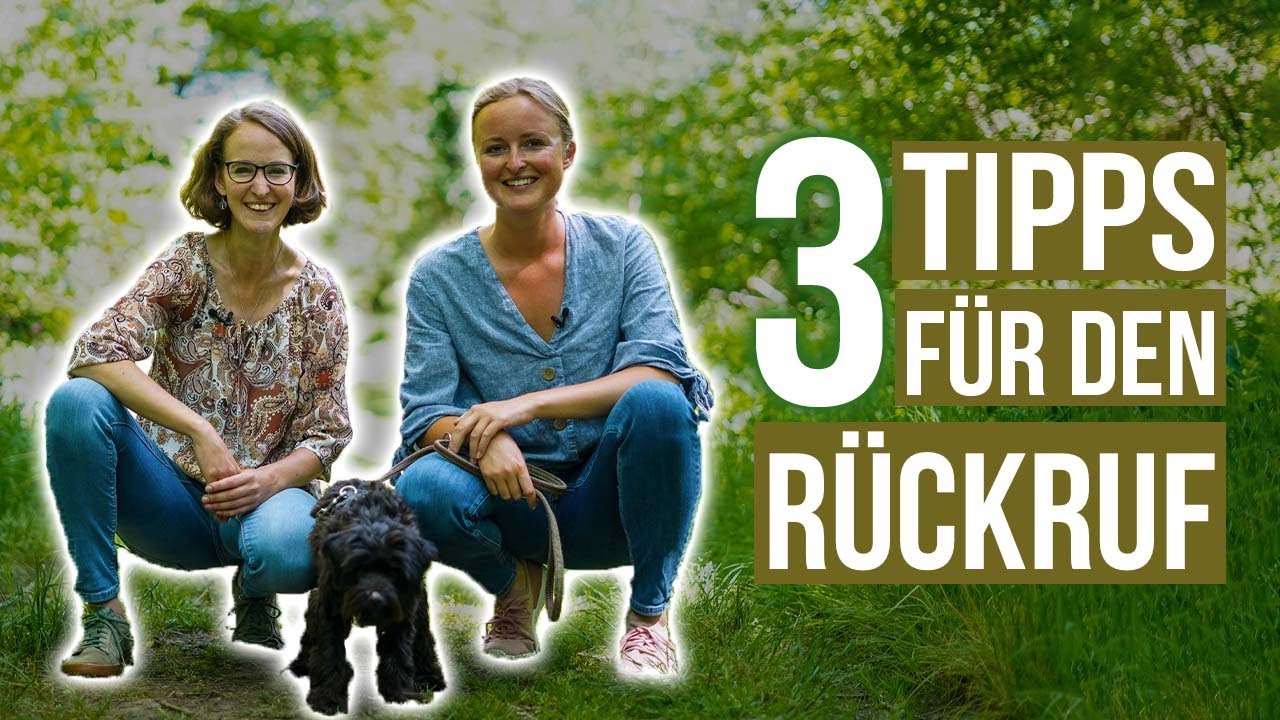 R&uuml;ckruftraining! 🤗 3 Tipps f&uuml;r einen sicheren R&Uuml;CKRUF!
