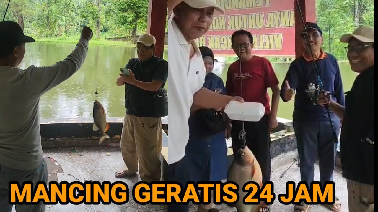 Villa Mancing Geratis di puncak Bogor banyak ikan bawal 
