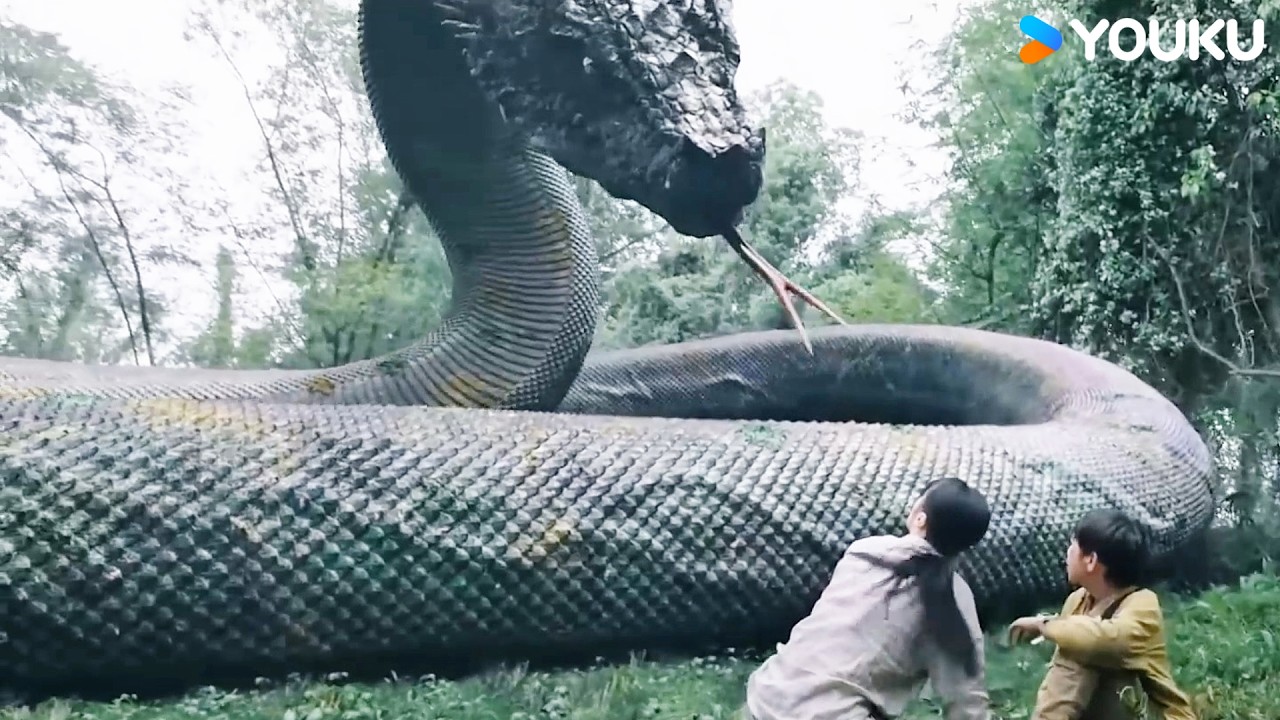 🐍💥🦖Giant snake appears and throws T-Rex with one tail slap! | Snake 3 | YOUKU MONSTER MOVIE