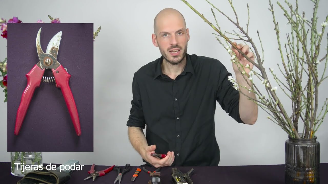 Curso GRATUITO de floristería para principiantes - Intenso de flores