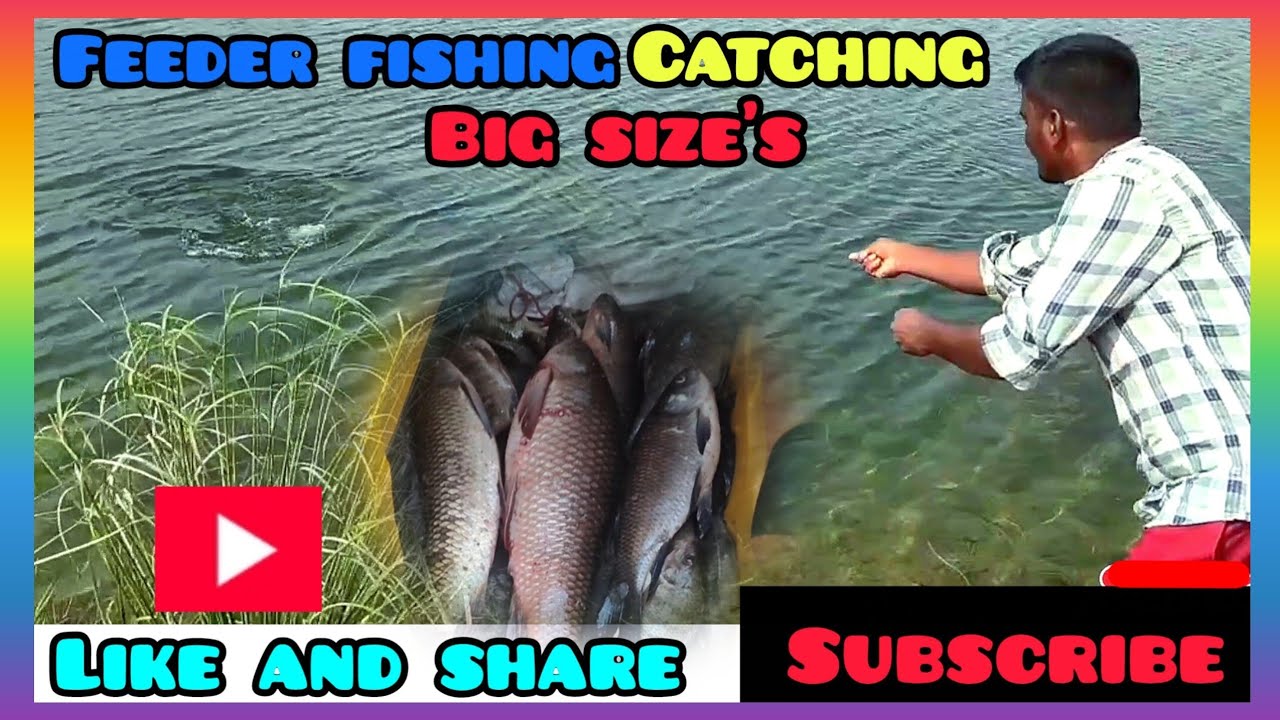 Best Katla Aur Rahu Fish's Ka Bite Back To Back Size's Catching  100% Working Bite
