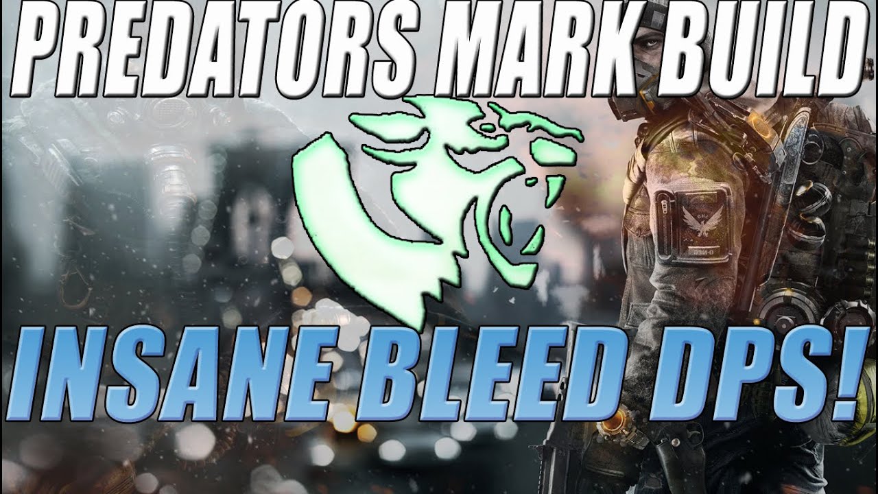 The Division - Predators Mark DPS Guide Insane Bleed Damage! (Best Damage Build)