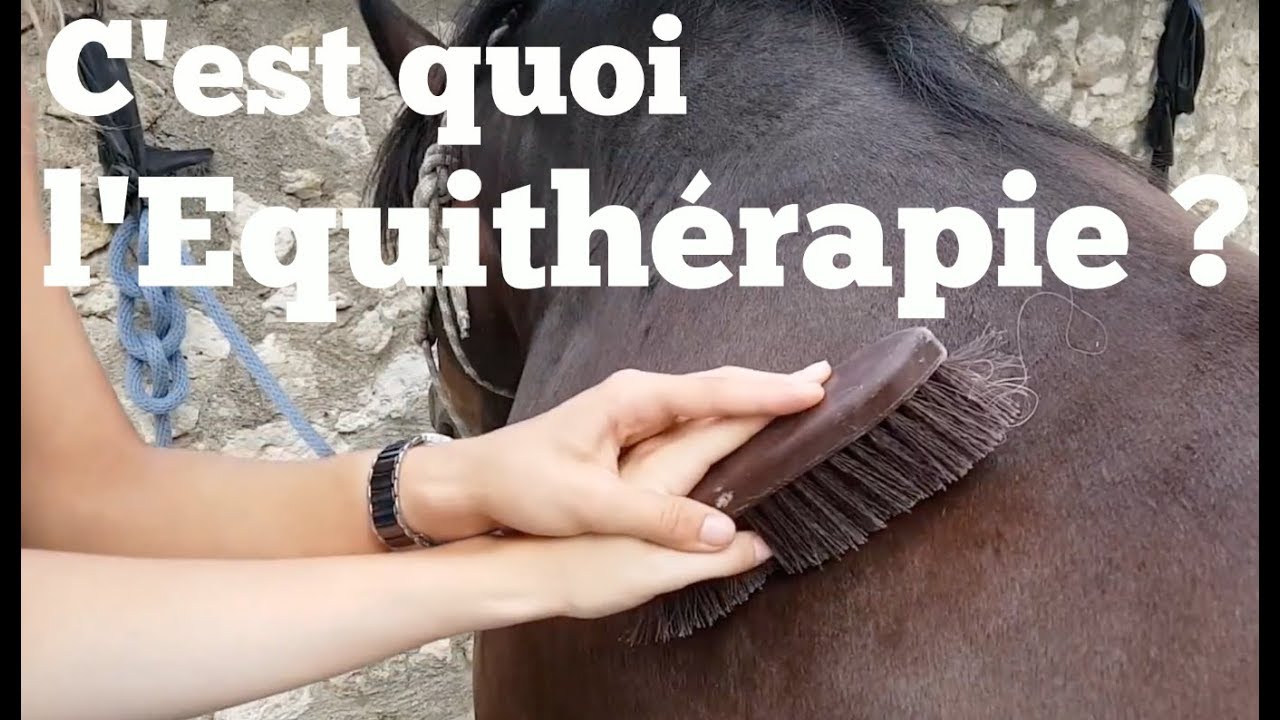 QU'EST-CE QUE L'ÉQUITHÉRAPIE ?
