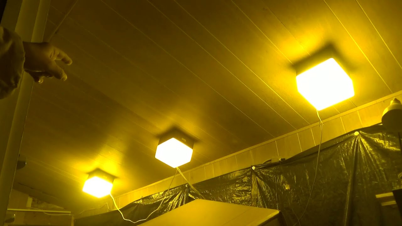 High pressure sodium lights starting up