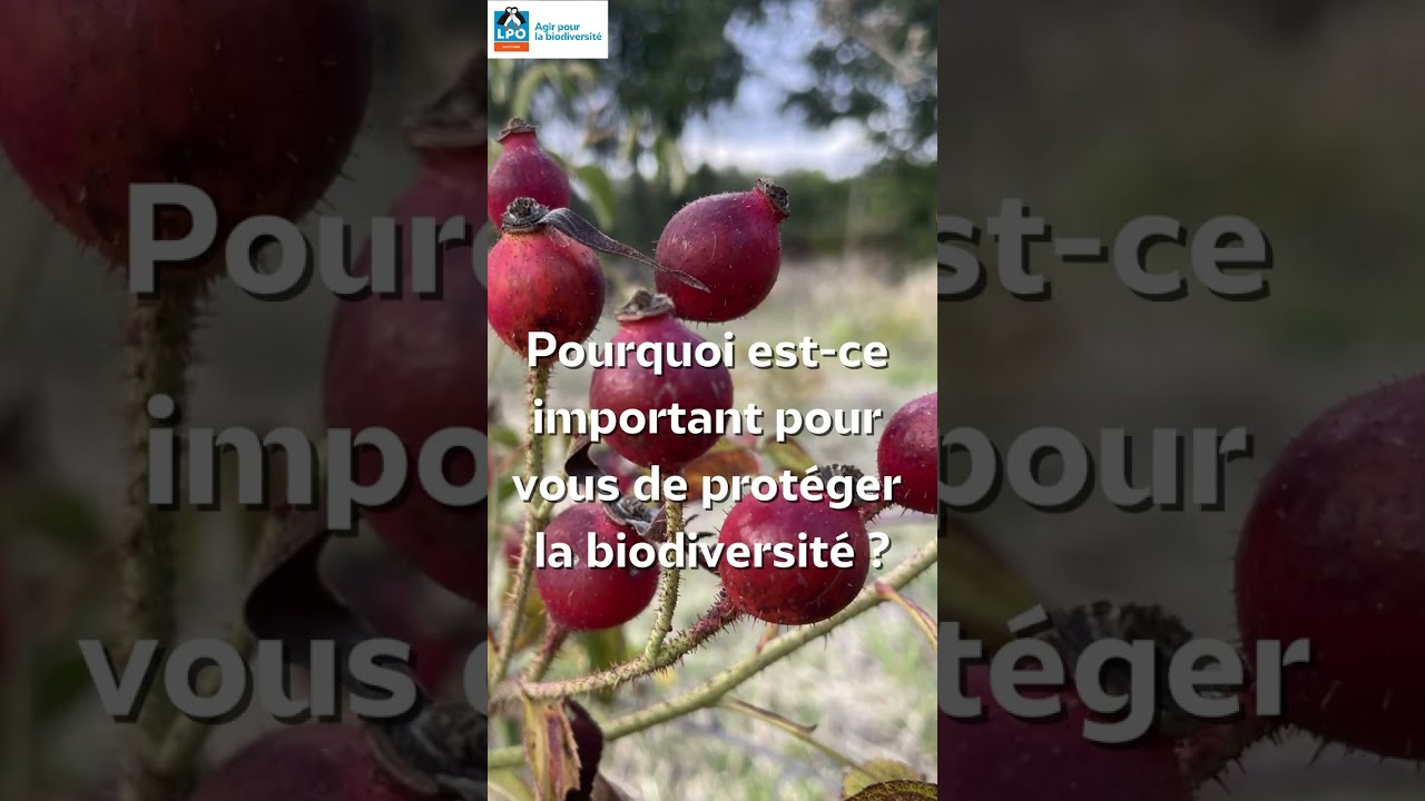 Témoignage d'une agricultrice du réseau 