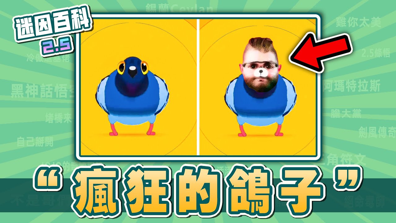 最雷霆的一集⚡️⚡️⚡️！“瘋狂的鴿子”是什麽迷因？【迷因百科】#瘋狂的鴿子 #PigeonPop #烏魯魯 #王小桃 #蔡徐坤 #雞你太美 #野獸先輩 #哲學 #香蕉君 #抽象 #魔性 #meme