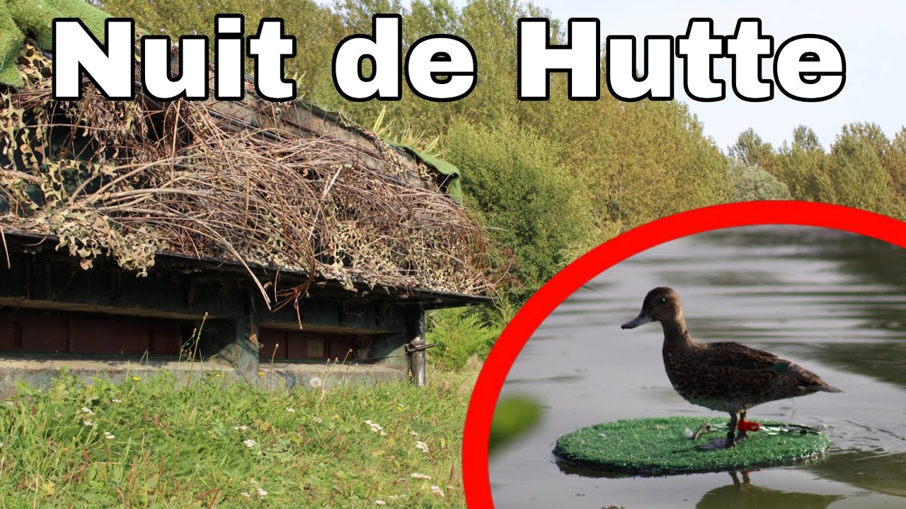 Nuit de Hutte dans l'Oise 