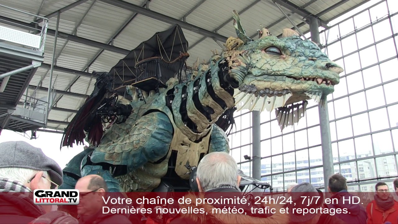 Le dragon de Calais, locomotive touristique ou fossoyeur de finances?