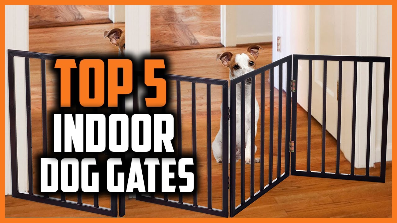 ✅ Top 5 Best Indoor Dog Gates of 2024