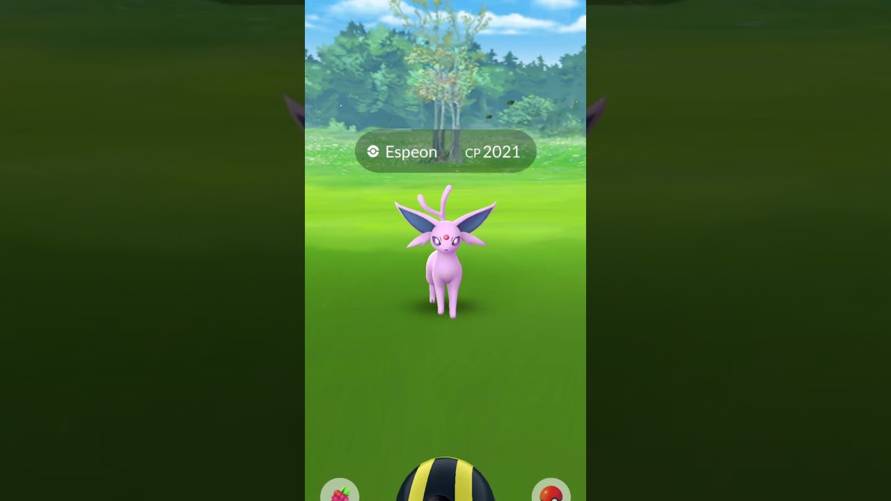The Top 3 Best Places To Play Pokemon Go in 2024/2025