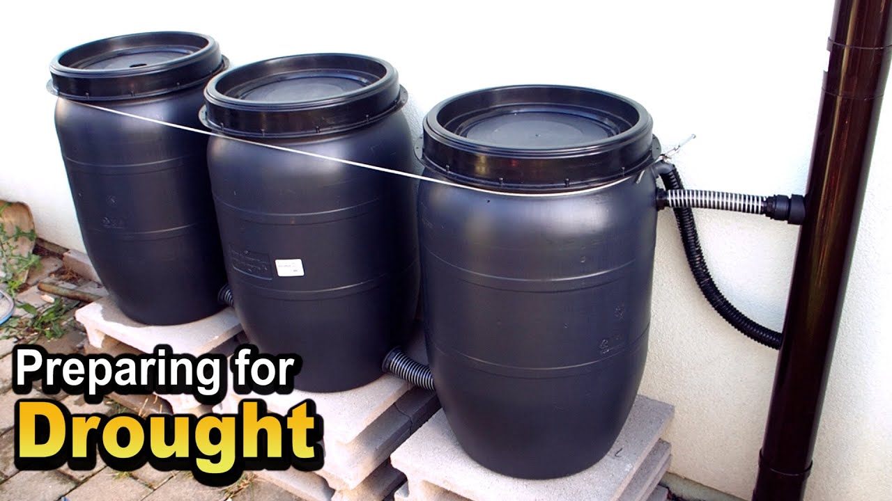 Rainwater Harvesting System (Water Storage for the APO.CALYPSE)