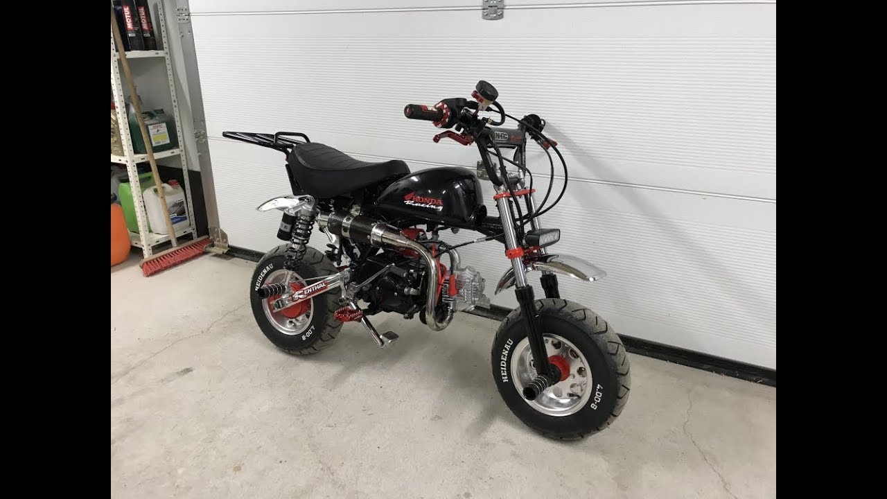 My monkey project | 2018
