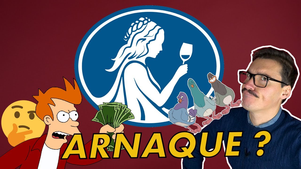 Back to Vins'ics #11 : Le WSET est-il une ARNAQUE ? 🤔