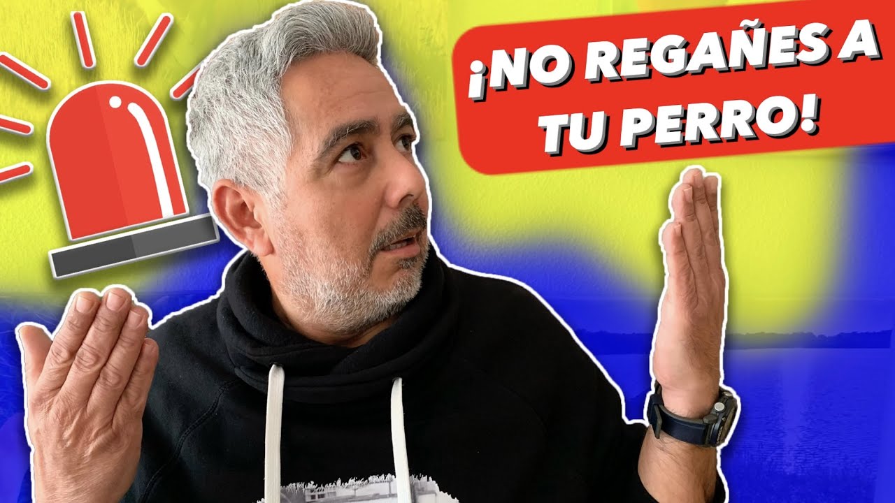 ¿POR QUÉ NUNCA ❌ DEBES REGAÑAR A TU PERRO? ⚠️ | 4EverDogs