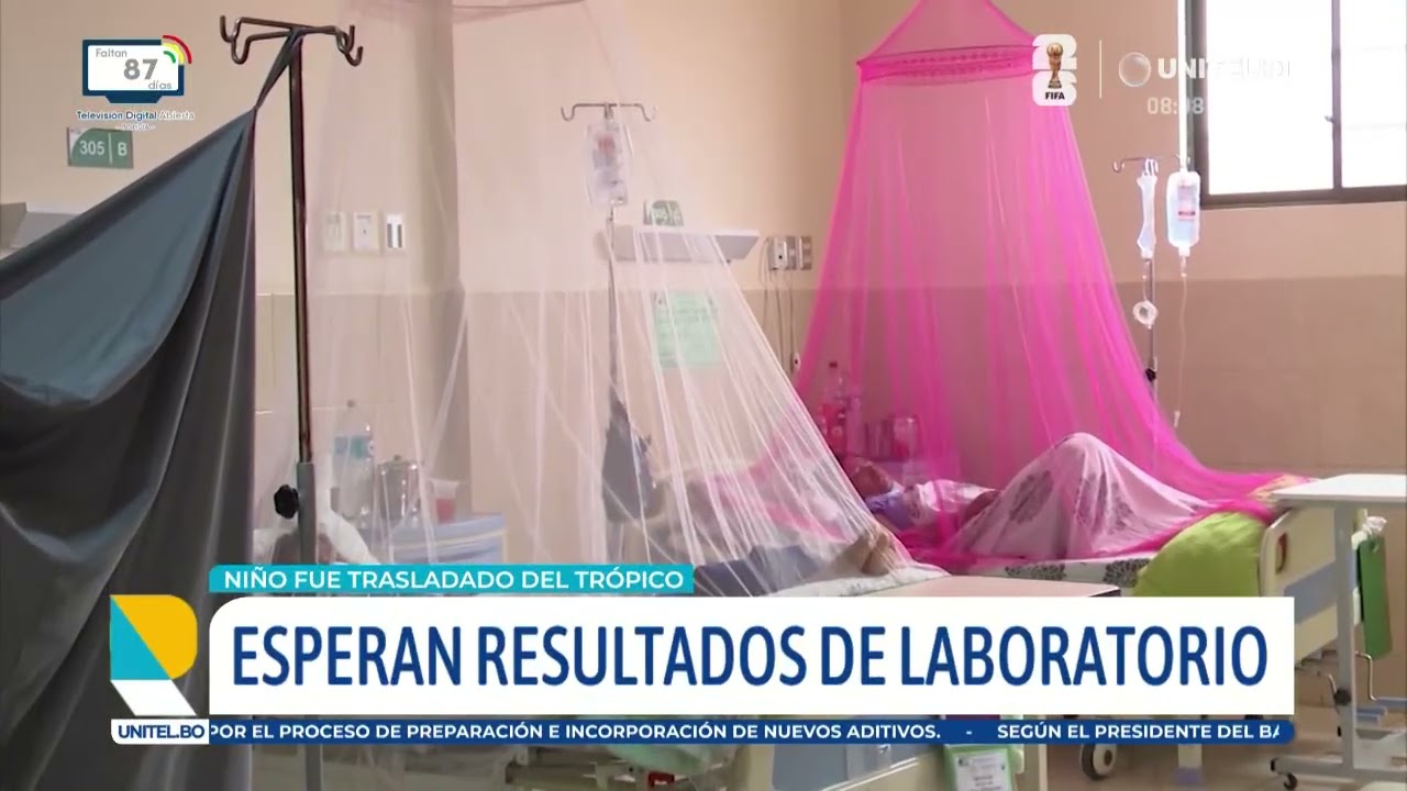 Muere niño de 7 años con síntomas de chikungunya tras ser transferido desde el trópico
