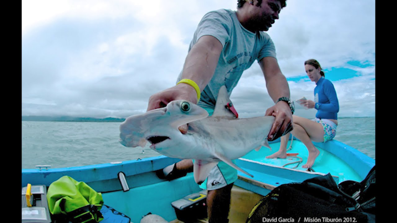 Blue Planet Science: The Marine Conservation Action Fund!