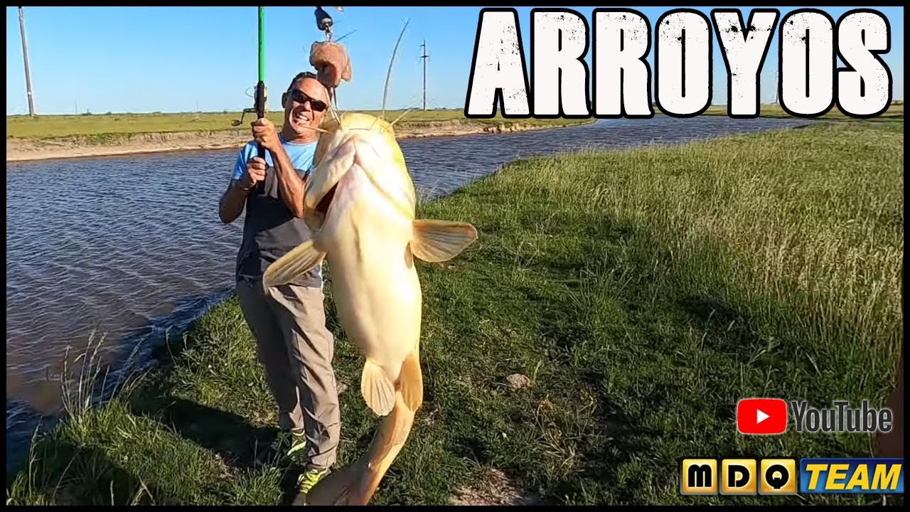 Arroyos de mi tierra