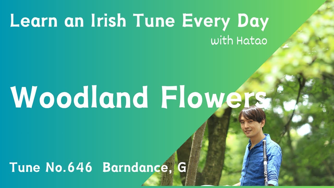 646 Woodland Flowers (Barndance, G)