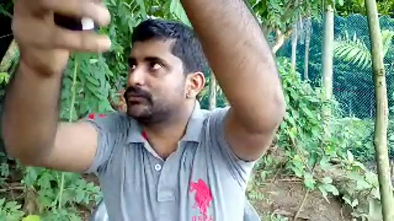 ECO OWN MEDIA LIVE