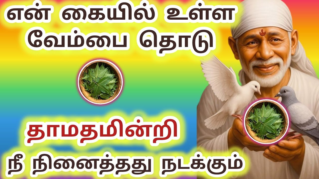 என் கையில் உள்ள வேம்பை தொடு தாமதமின்றி நீ நினைத்தது நடக்கும் #sai #saibaba #baba #sirdisaibaba 