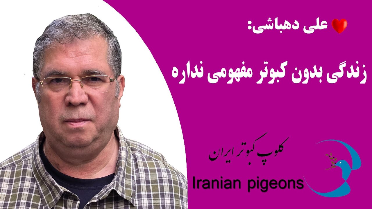 ❤️بدون کبوتر نمیشه زندگی کرد ،  زندگی بدون کبوتر مفهومی نداره : علی دهباشی