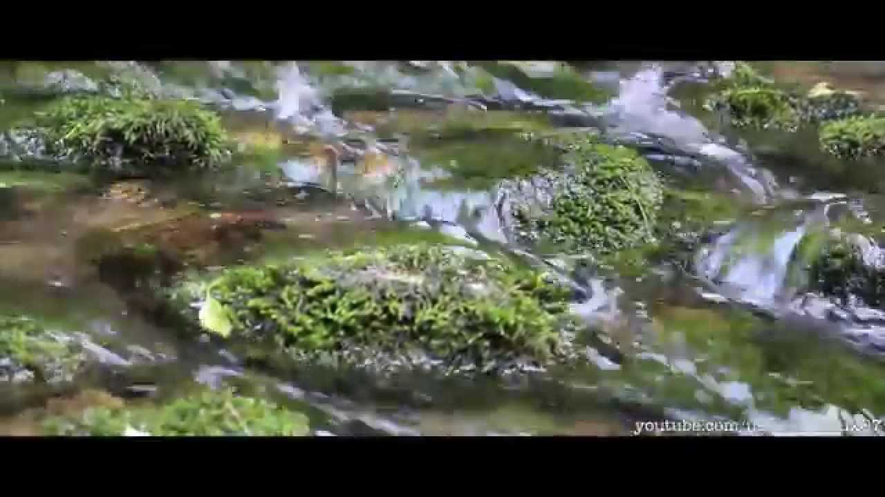 Descopera Romania - Cascada Bigar - Izvorul Bigar