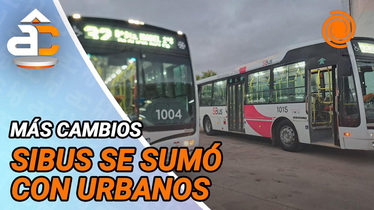TRANSPORTE URBANO | SiBus, la nueva empresa que opera en la ciudad de Córdoba