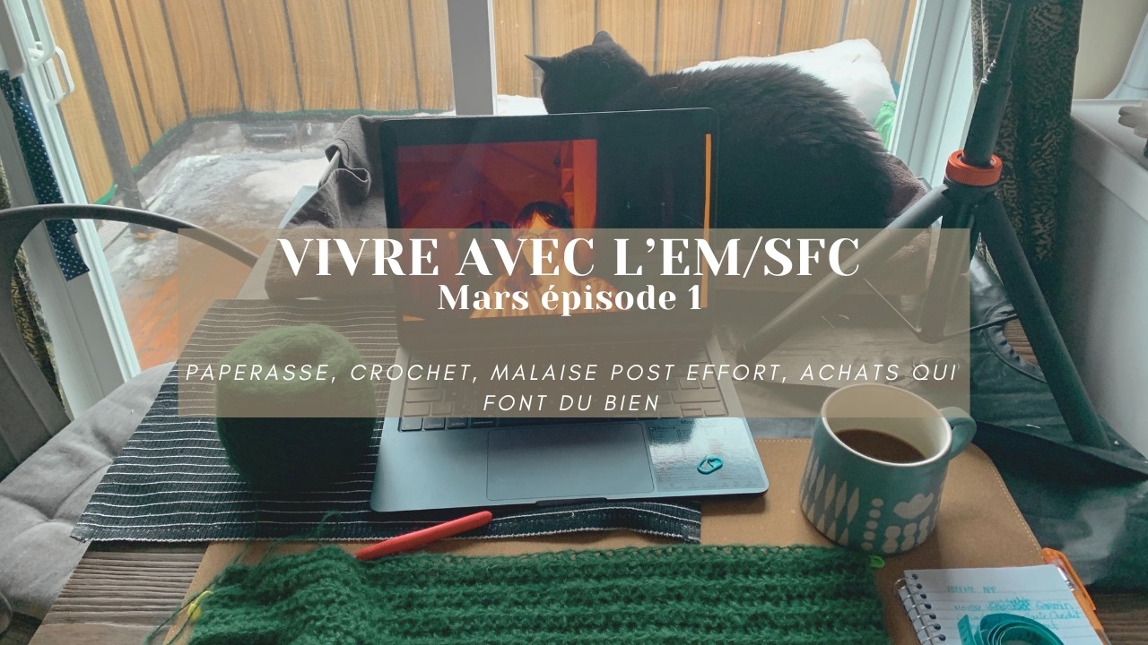 Période difficile, malaises post effort, des achats qui font du bien, du tricot et de la paperasse.