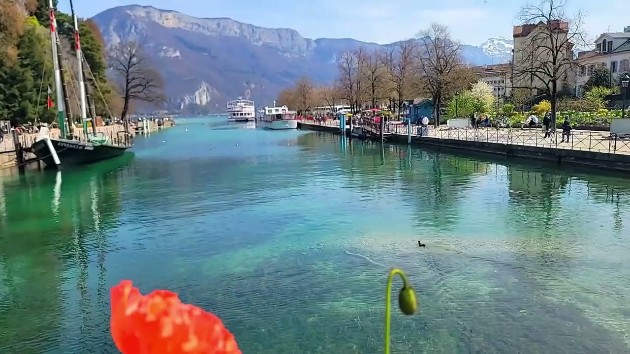 Le Libellule - Bateau Restaurant tout l’Année