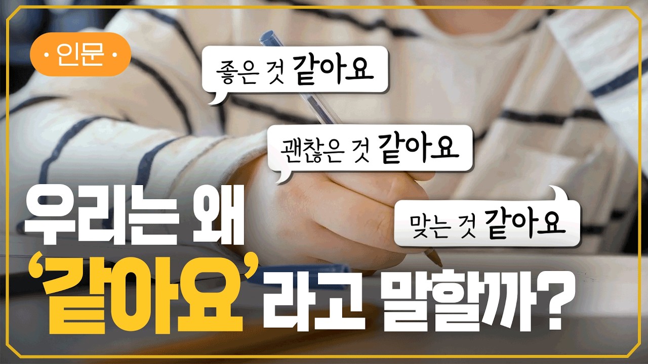 “같아요”에 숨겨진 생존 전략 | 선택 과부하에서 관계의 언어까지 | #지식채널e