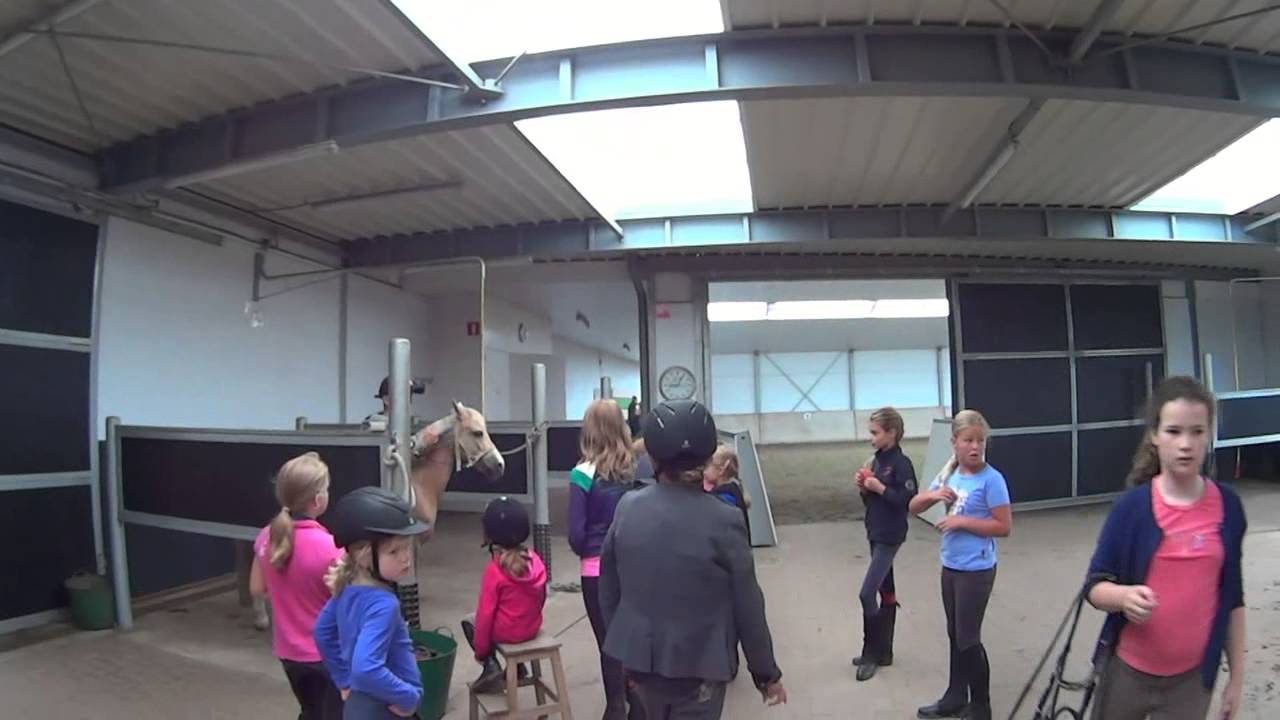 Manegekamp 2013 manege 't Halster Oisterwijk