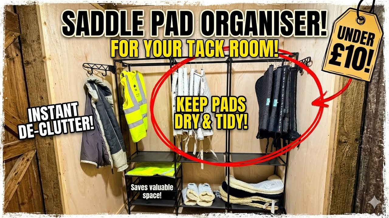 Saddlecloth & Numnah Storage Solution | Tidy Tack Room Hack Under £10