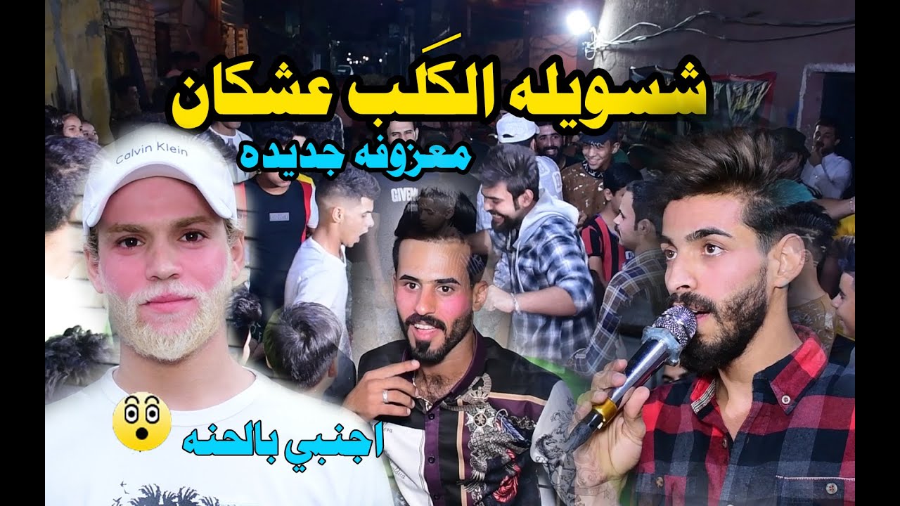 شسويلة الكلب عشكان | المنشد حيدر نجم | بستة وموال ايخبل   . الف مبروك مجتبى السوداني
