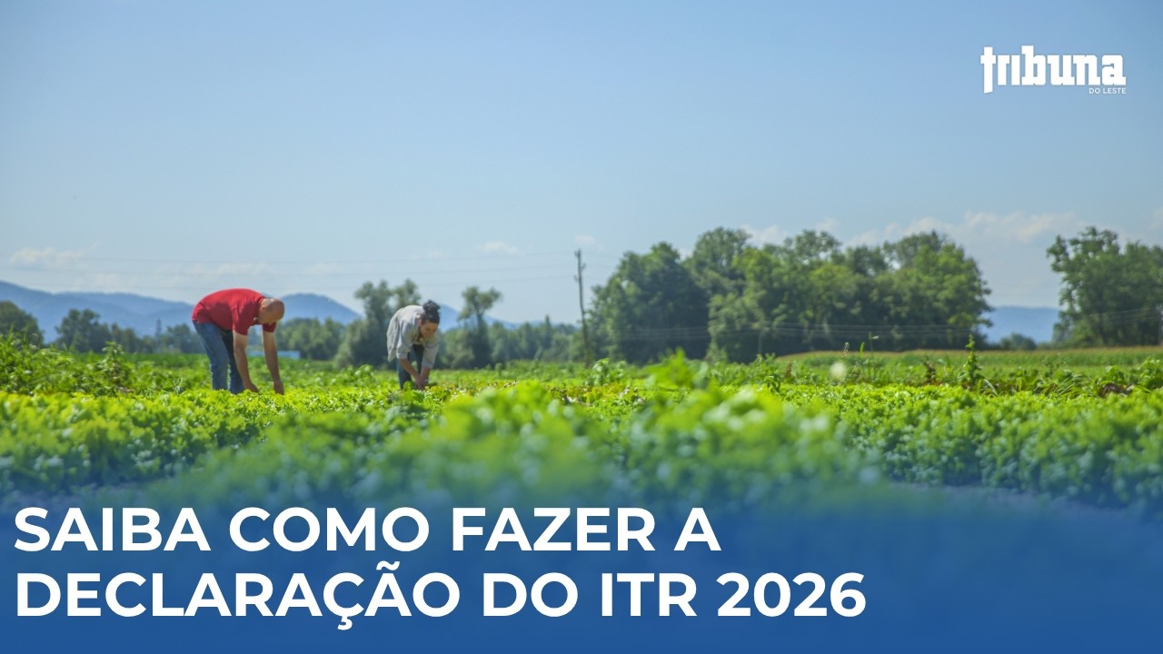 Especialista esclarece d&uacute;vidas sobre a declara&ccedil;&atilde;o do ITR 2026
