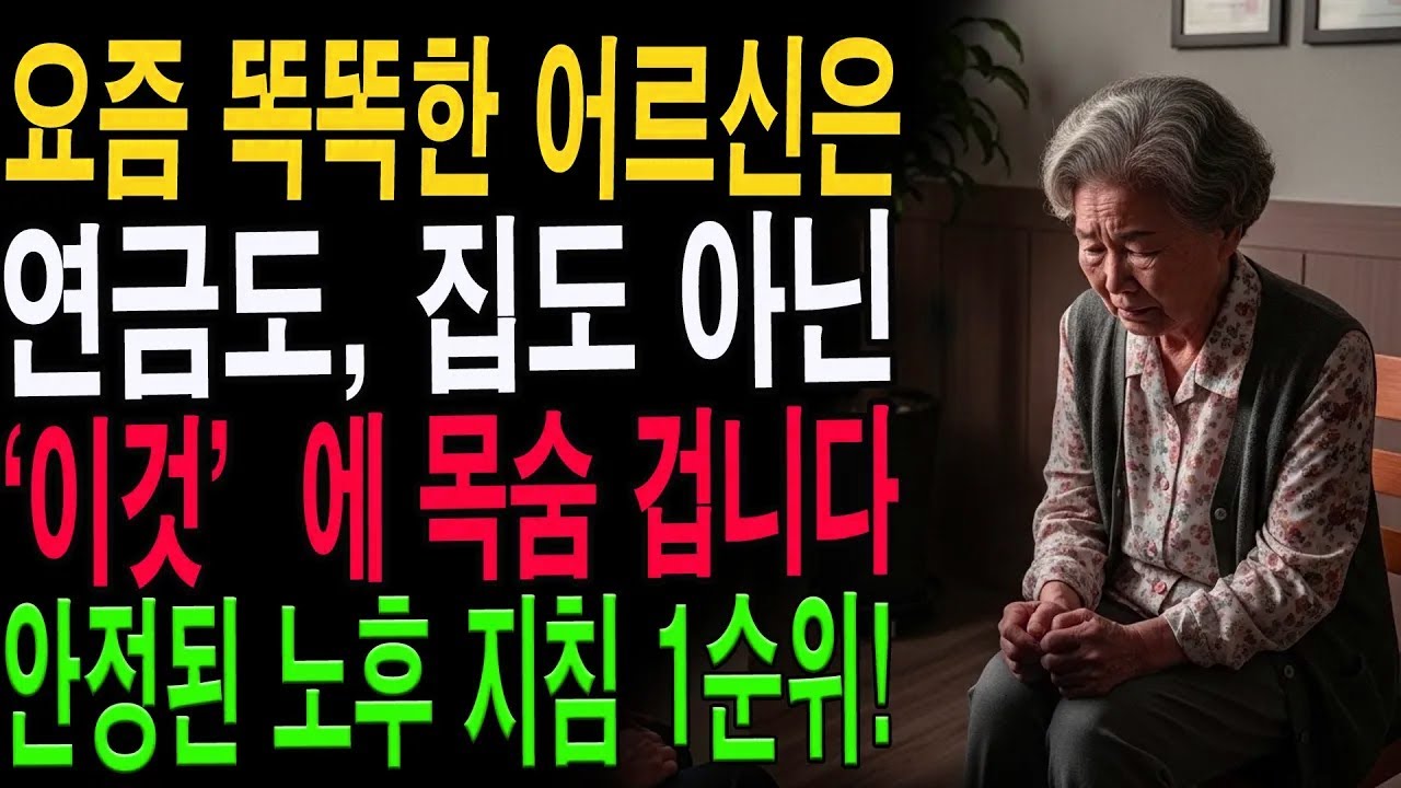 집도 연금도 소용없다? 현명한 어르신들이 ‘이것’에 투자하는 이유|노년의 지혜| 노후 건강|자연 치유|건강과 장수|