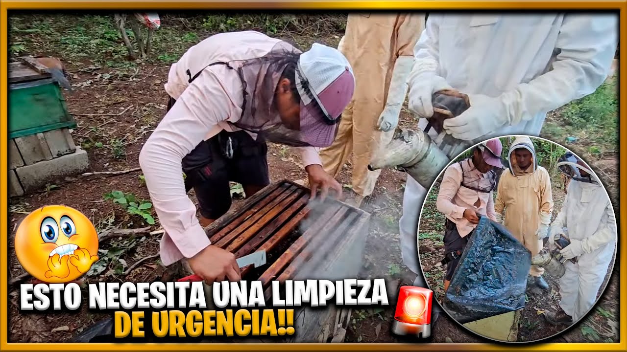 Miguel esta preocupado al ver estas colmenas del 4K. No hemos llevado una sorpresa