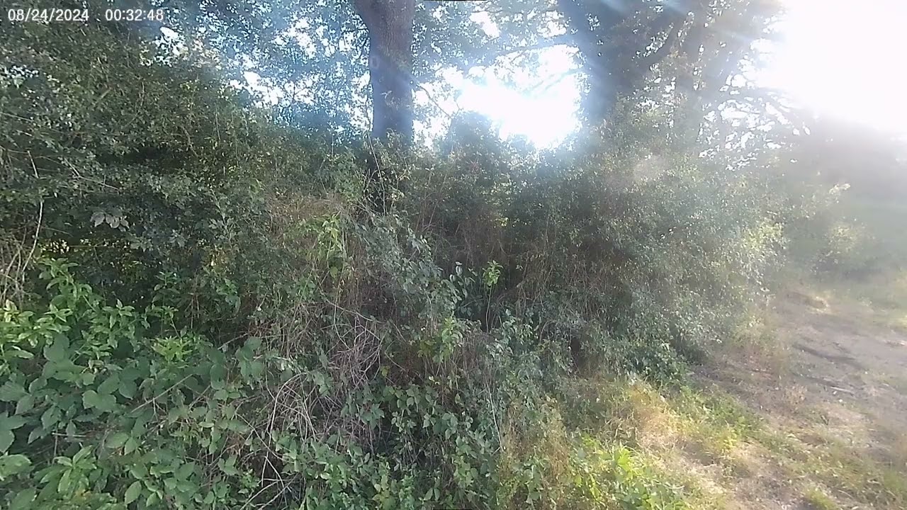un bout de séance au parc