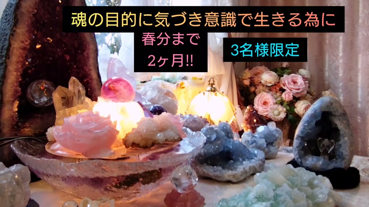 春分までの2ヶ月間は超重要‼️