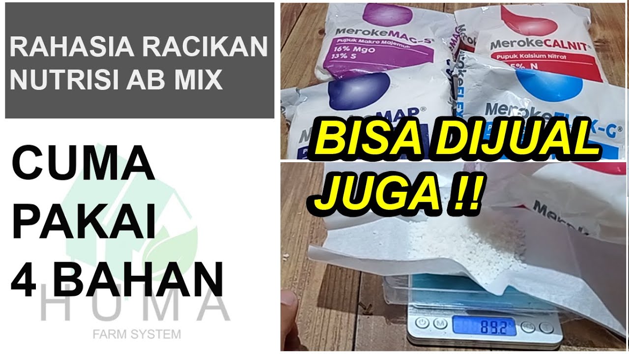 Rahasia Meracik Nutrisi AB Mix Ideal untuk Sayuran Paling Mudah Hanya dengan 4 Bahan Pupuk