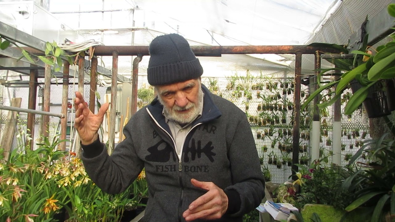 Curare le orchidee in casa, video n° 5 Concimazione chimica e organica