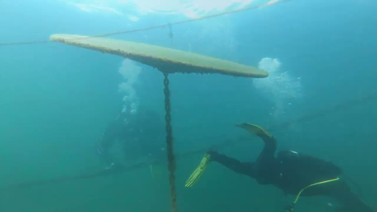Tauchen im Lago Maggiore 2023 ‐ Sub Gambarogno