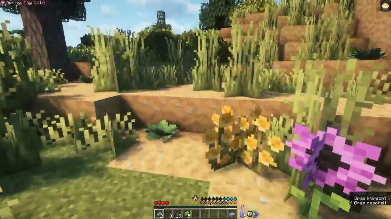 Minecraft - Aged - 001