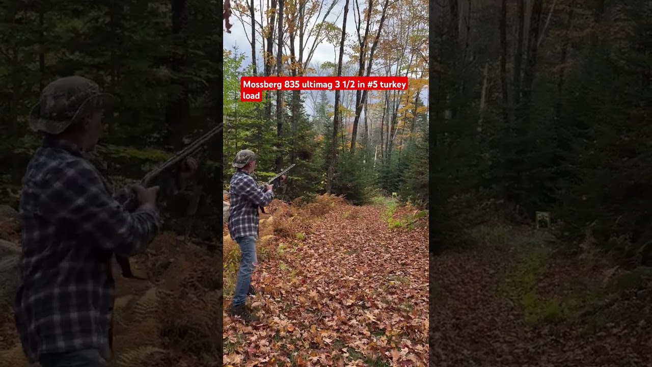 Mossberg 835 ultimag 3 1/2 #5 turkey load