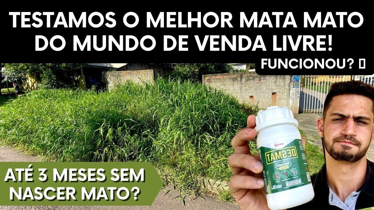 O MELHOR MATA MATO DO MUNDO! (Testamos na prática, vale a pena? Confira!)