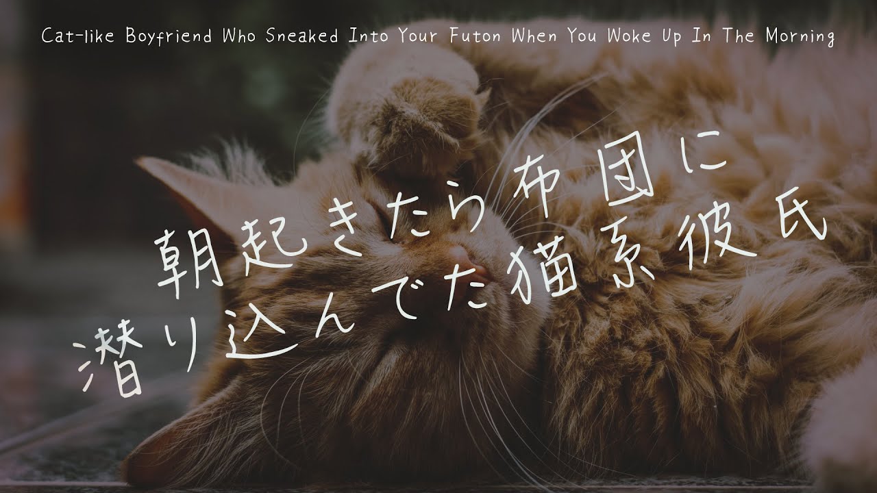 【女性向け】朝起きたら布団に潜り込んでた猫系彼氏【シチュエーションボイス】